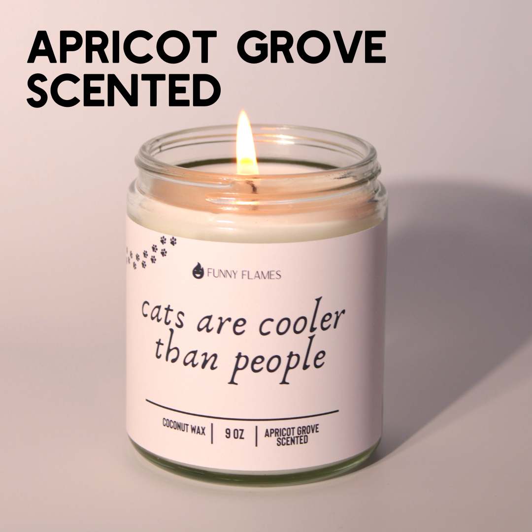 Cats Are Cooler Than People