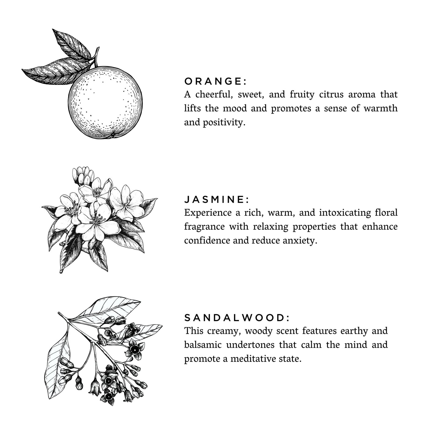 Twilight - Jasmine + Orange + Sandalwood